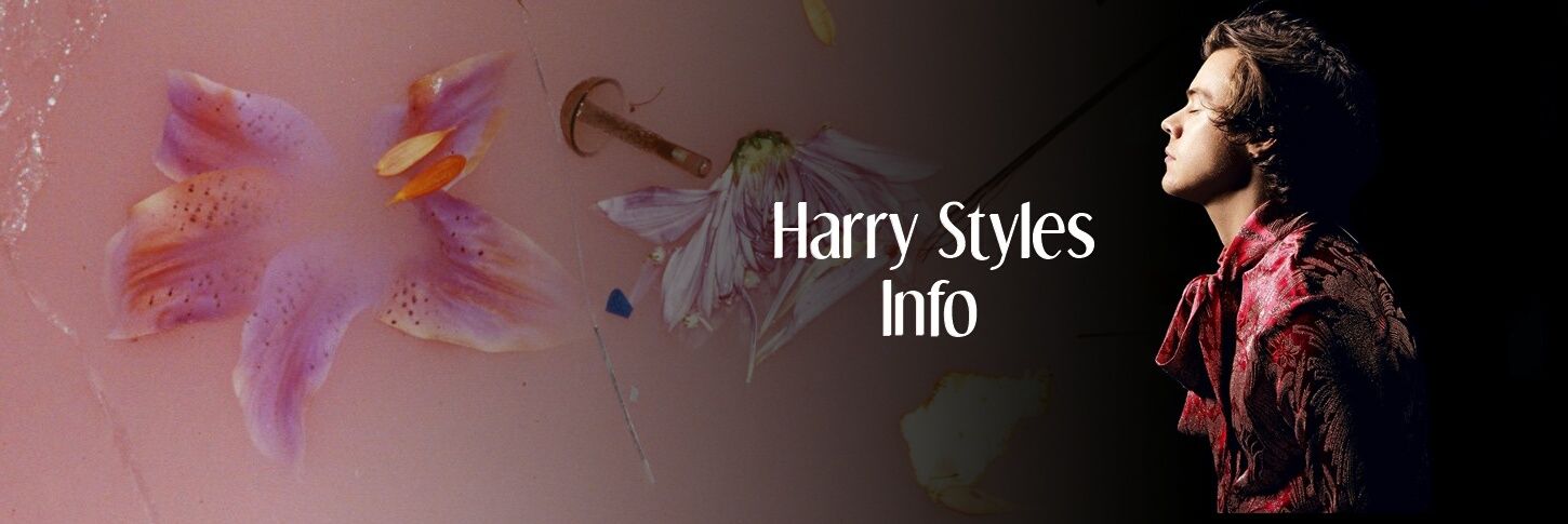 HStylesInfo's profile banner image