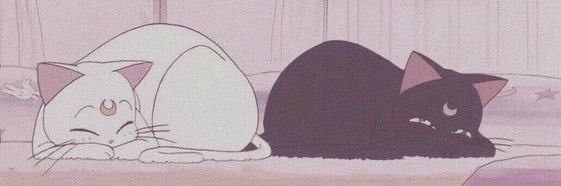 Shippai_02's profile banner image