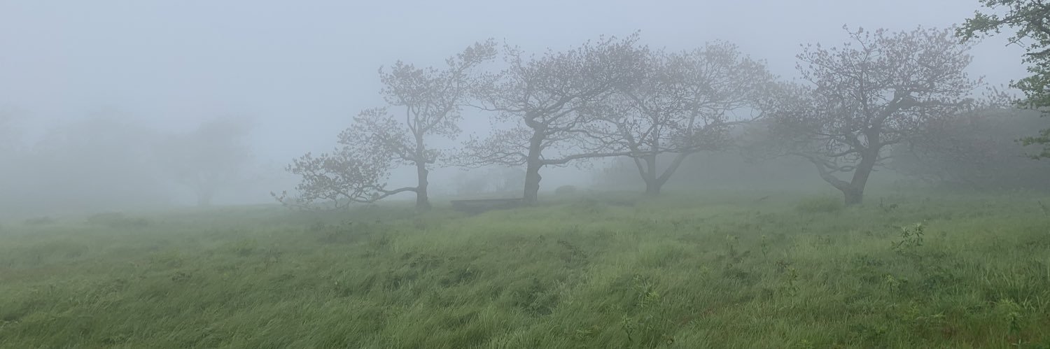 Twigandbone's profile banner image