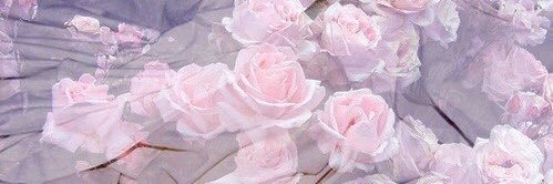 ValeLBBH's profile banner image