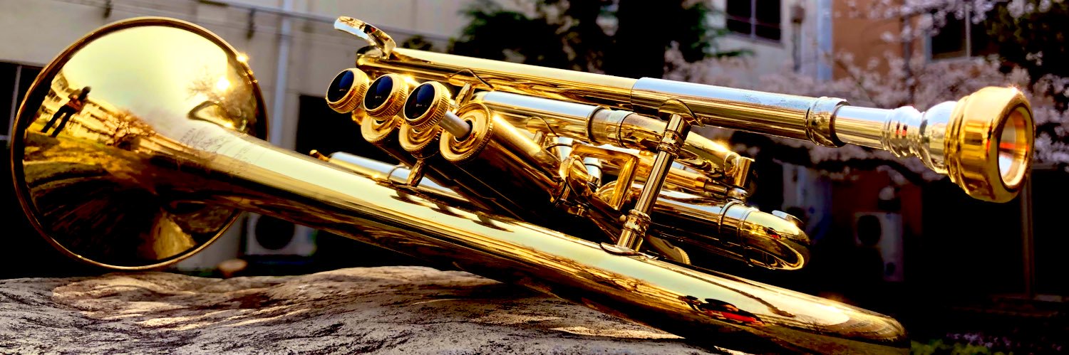 ☻らっぱぱか🎺🚝✈️ banner