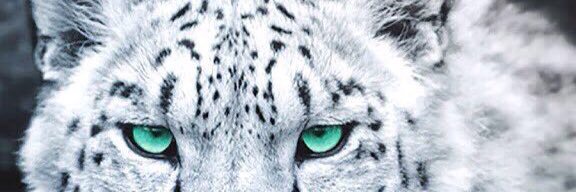 ad_cin1's profile banner image