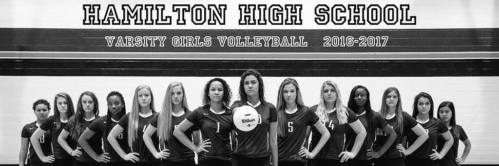 Hamilton Volleyball banner