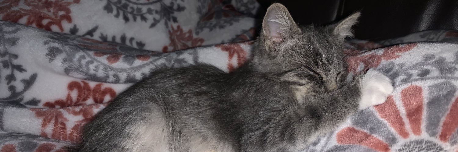 bekahmuta's profile banner image