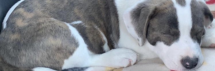 dbagncgrath's profile banner image