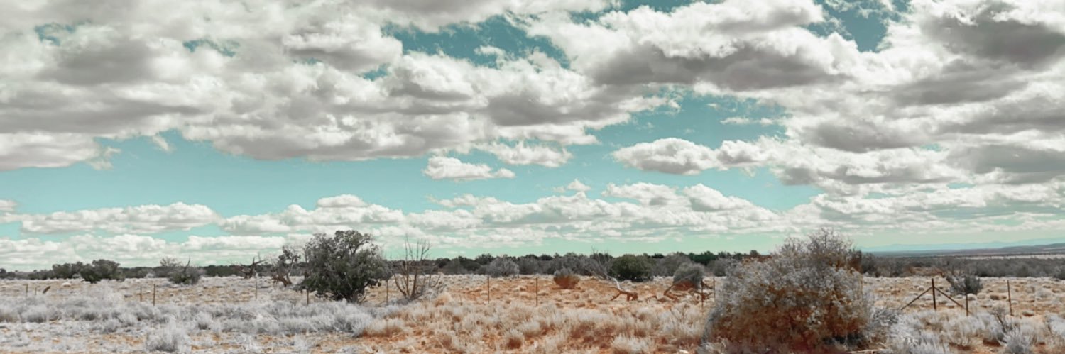 nikki_hoke's profile banner image