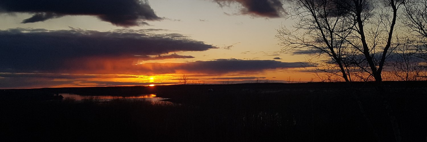 Todd Chamberlain banner