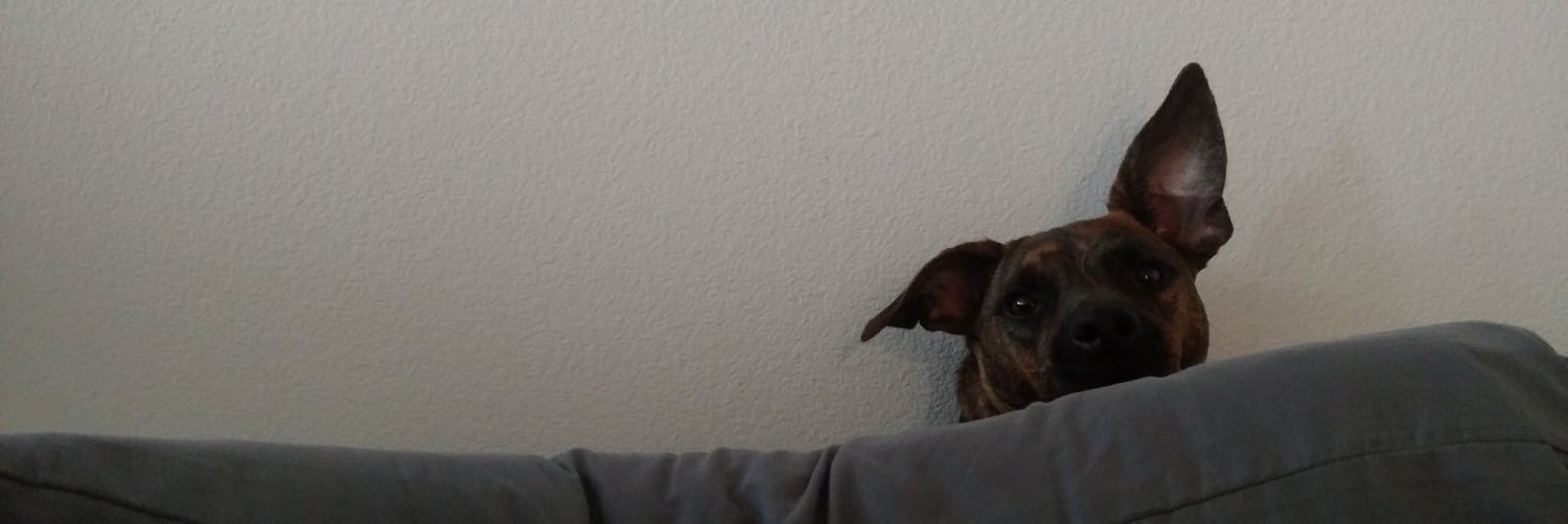RexxarChaos's profile banner image