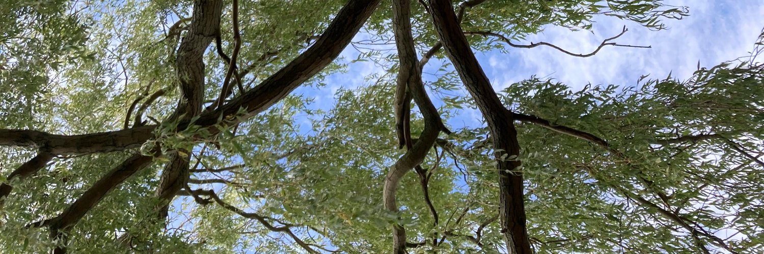 Eleanor Malone banner