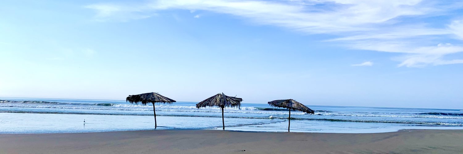 Alexandra Peláez banner