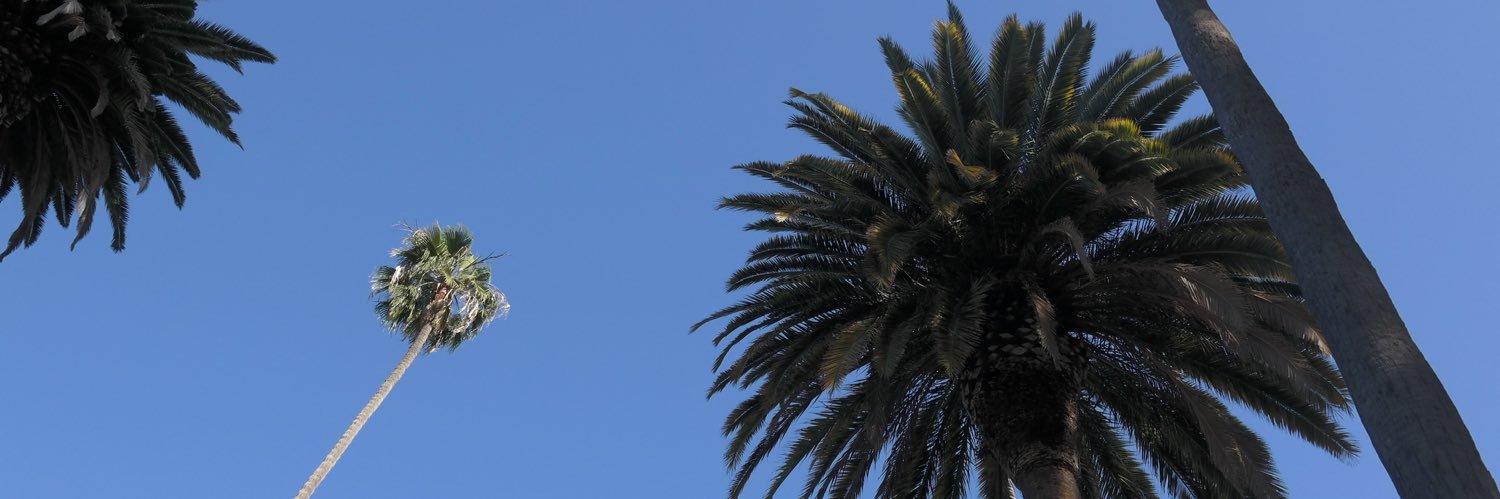 Lanie Alaniz-Villarreal banner