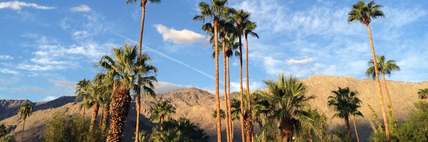 Michael Caprio banner