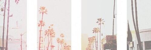 SBahorel's profile banner image