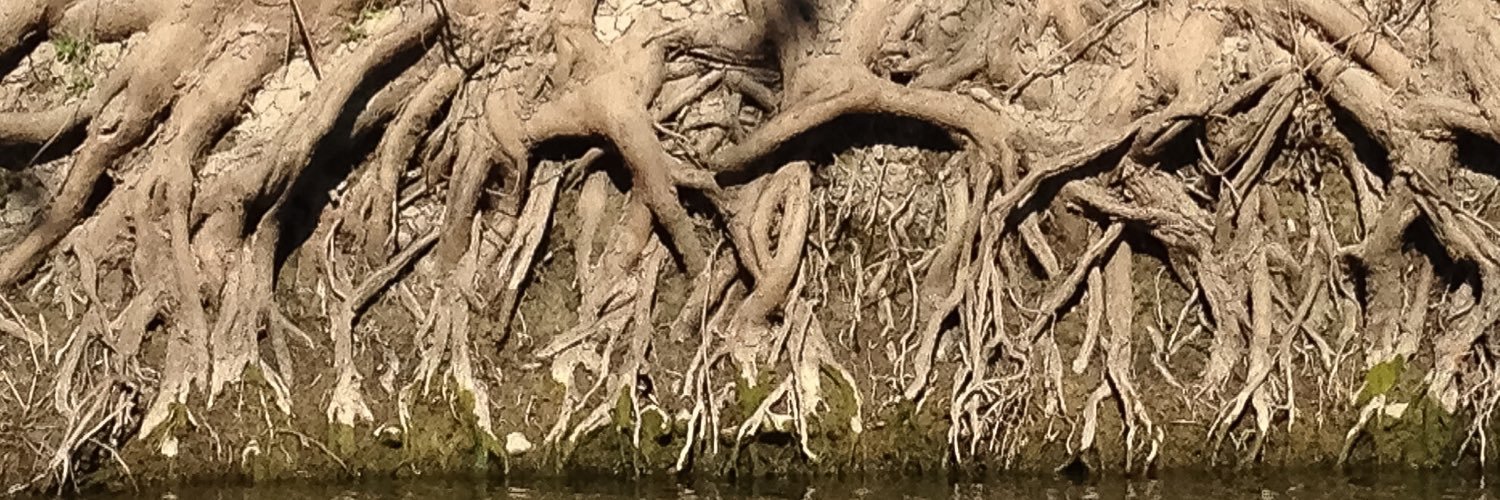SinsonteGreer's profile banner image