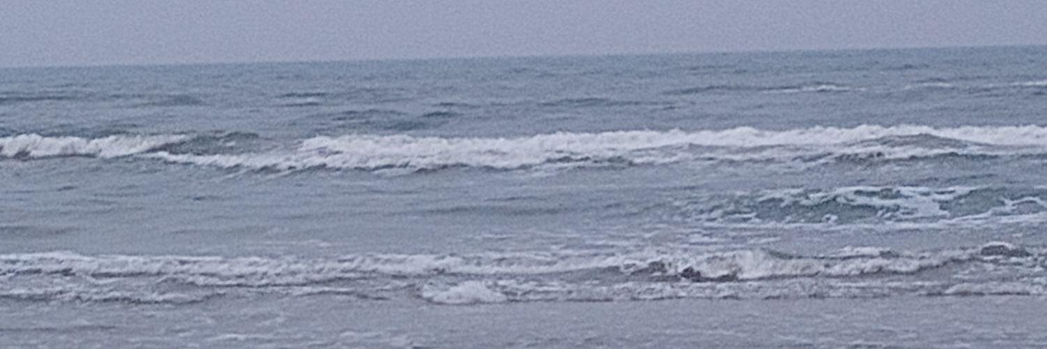 S banner