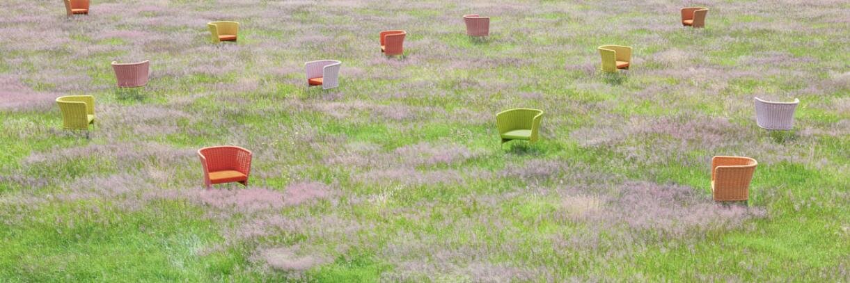 ModernGardenCo's profile banner image