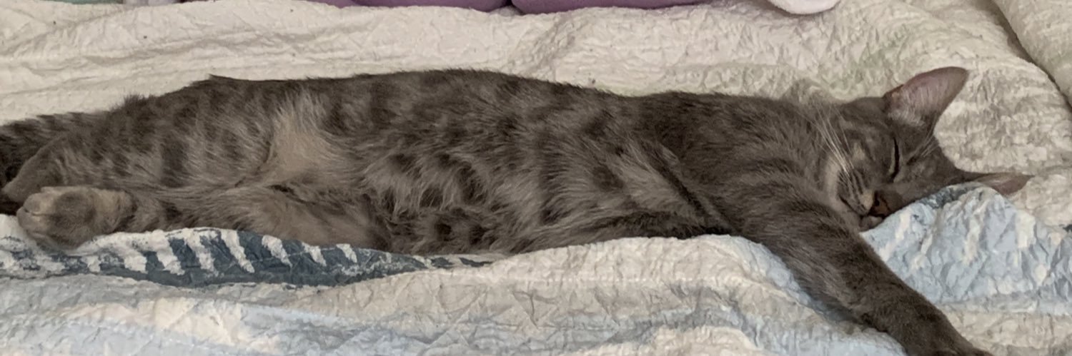 kayla 🦥👩‍🔬 banner