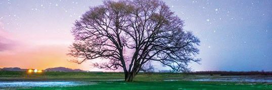 hidechan_toujo's profile banner image