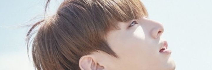 lemonade_laura's profile banner image