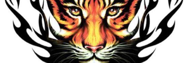 jsandhu15's profile banner image