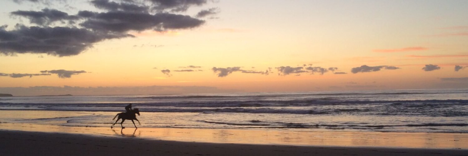 Regal Lodge Racing banner