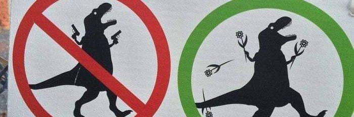 Daniele Machado banner