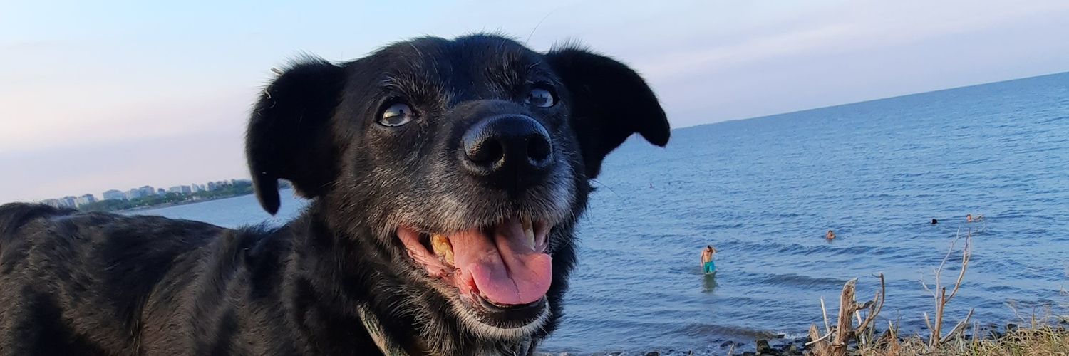 camih13x's profile banner image