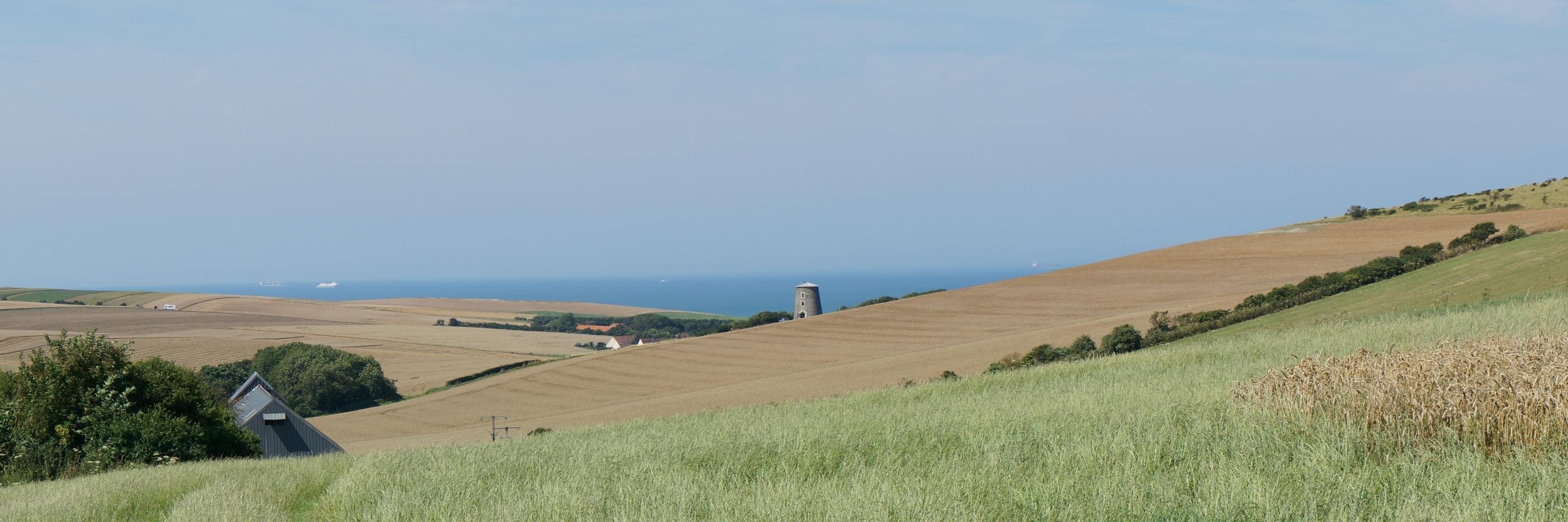 Bernard MENDOLIA banner