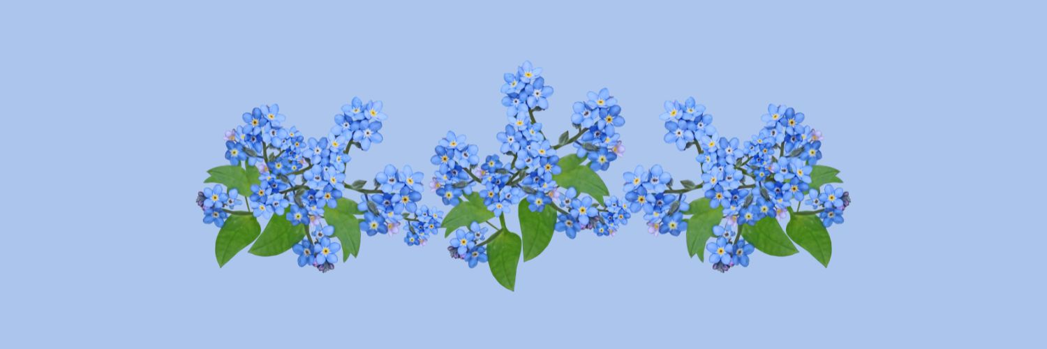 手豆鈴 banner