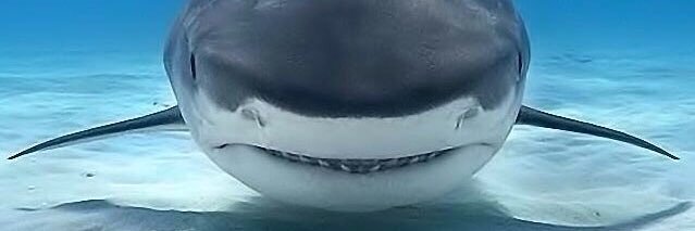 Nueve Veces banner