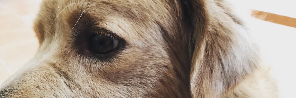 InDyz_tee's profile banner image