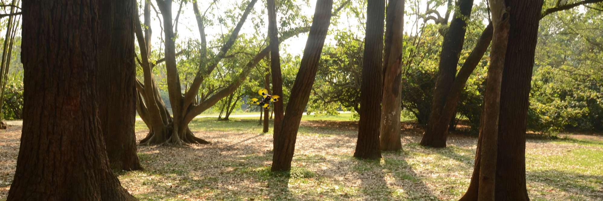 fpvsite's profile banner image