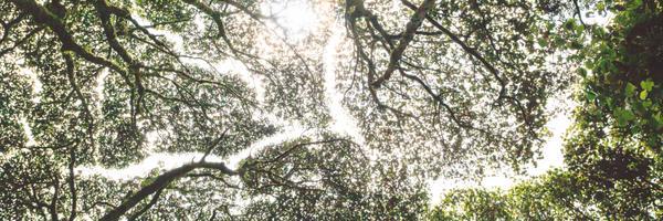 mistrydarshan99's profile banner image