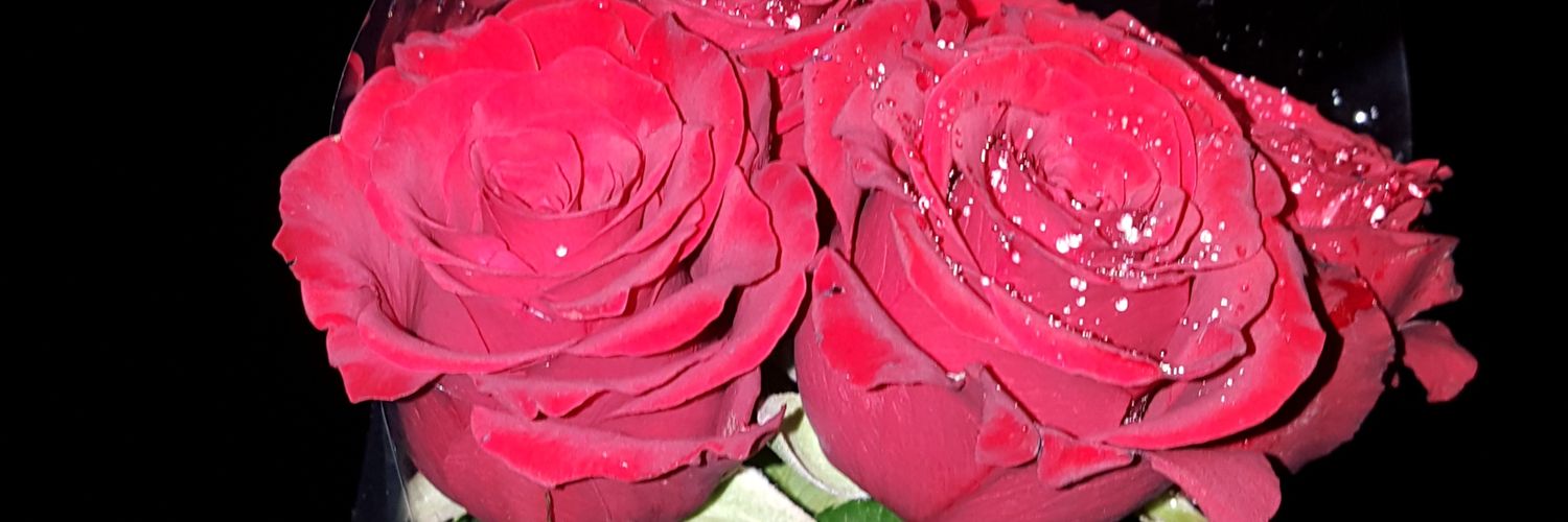 bashayer7n's profile banner image