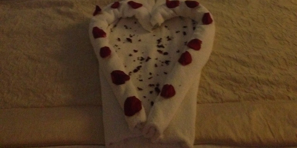 genna williams banner