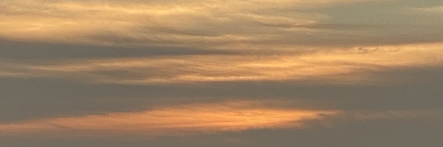 _ansszli's profile banner image
