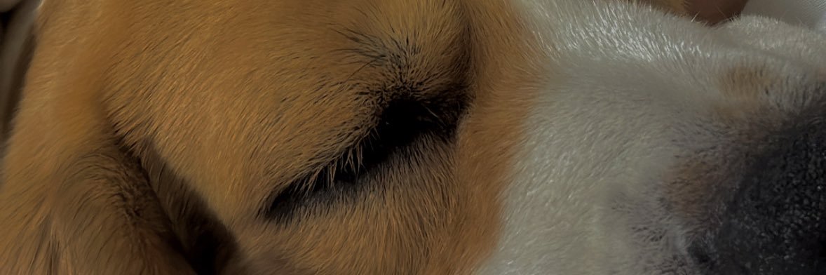 V banner