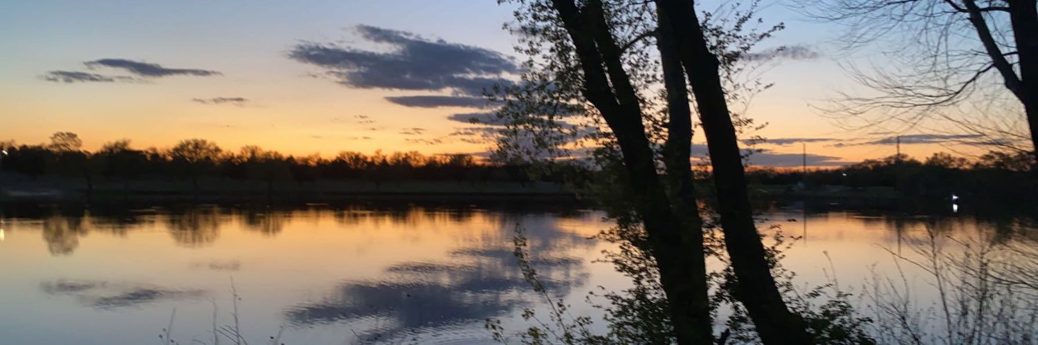 LaniDryden's profile banner image