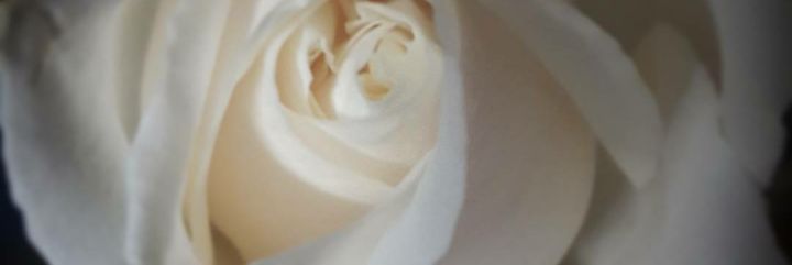 cmrlw2015's profile banner image