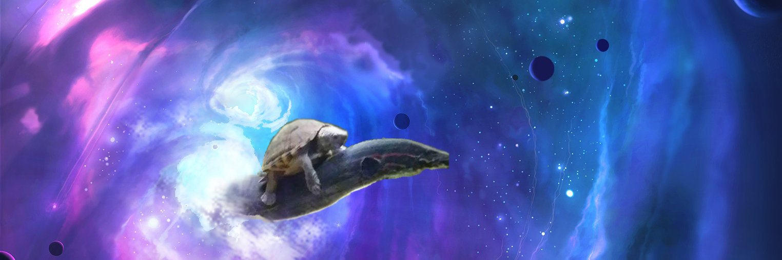 MachoChoncho's profile banner image