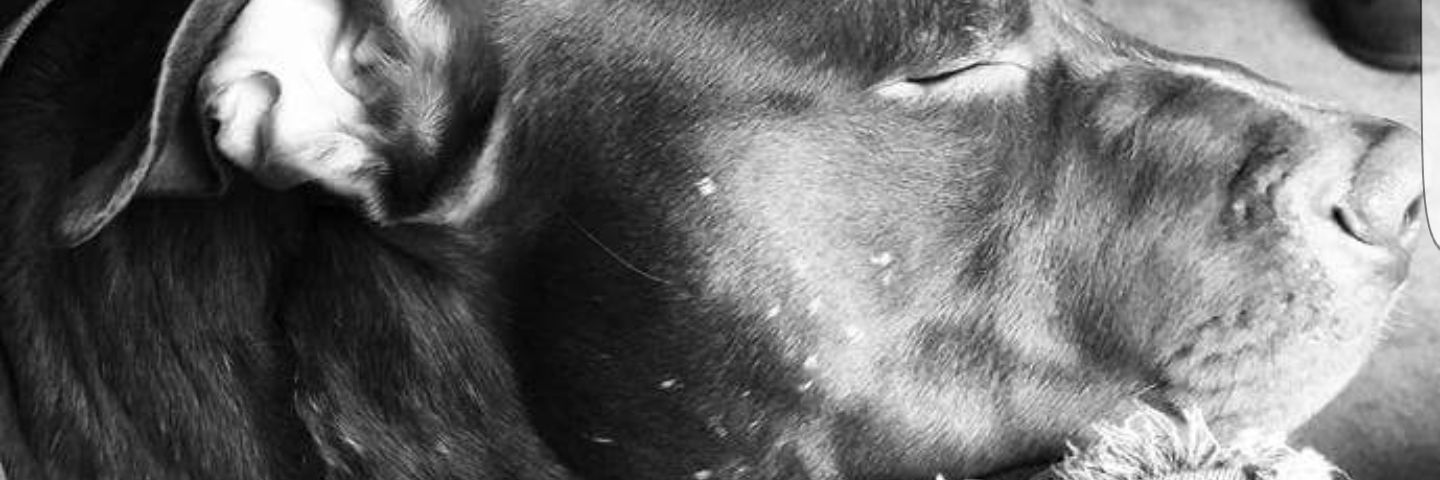 HStene28's profile banner image