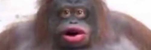 NotSquiket's profile banner image