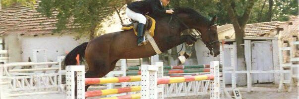 Gülümser Kermen banner