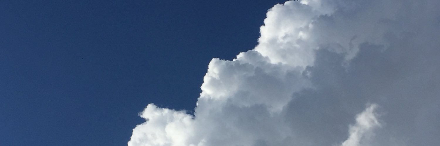 alondraRAMOSCST's profile banner image