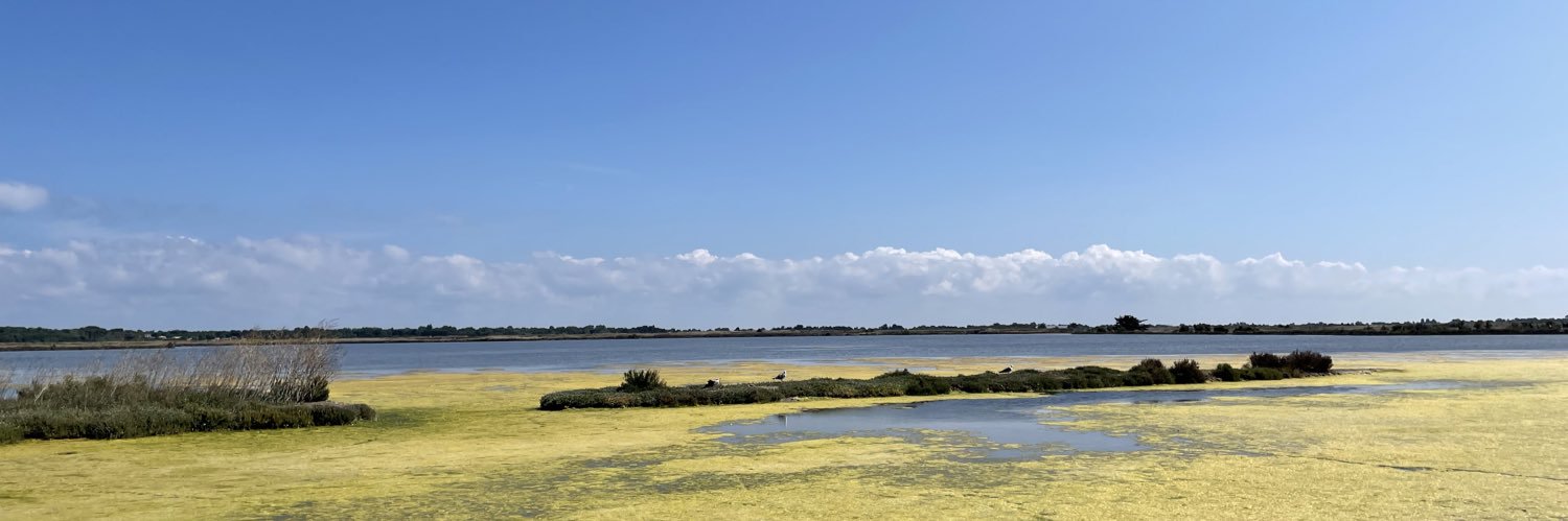 Géry Derbier banner