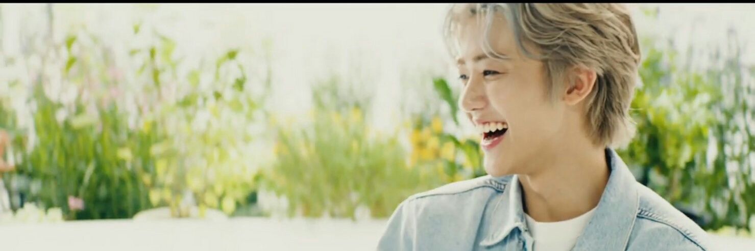 น้องแมว ||| banner