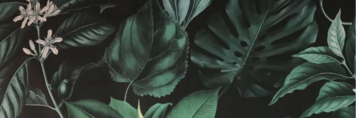 brandykegeris's profile banner image