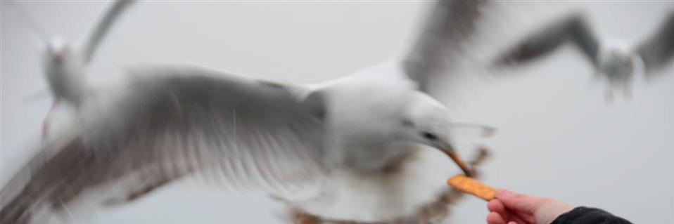 tunalimurat's profile banner image