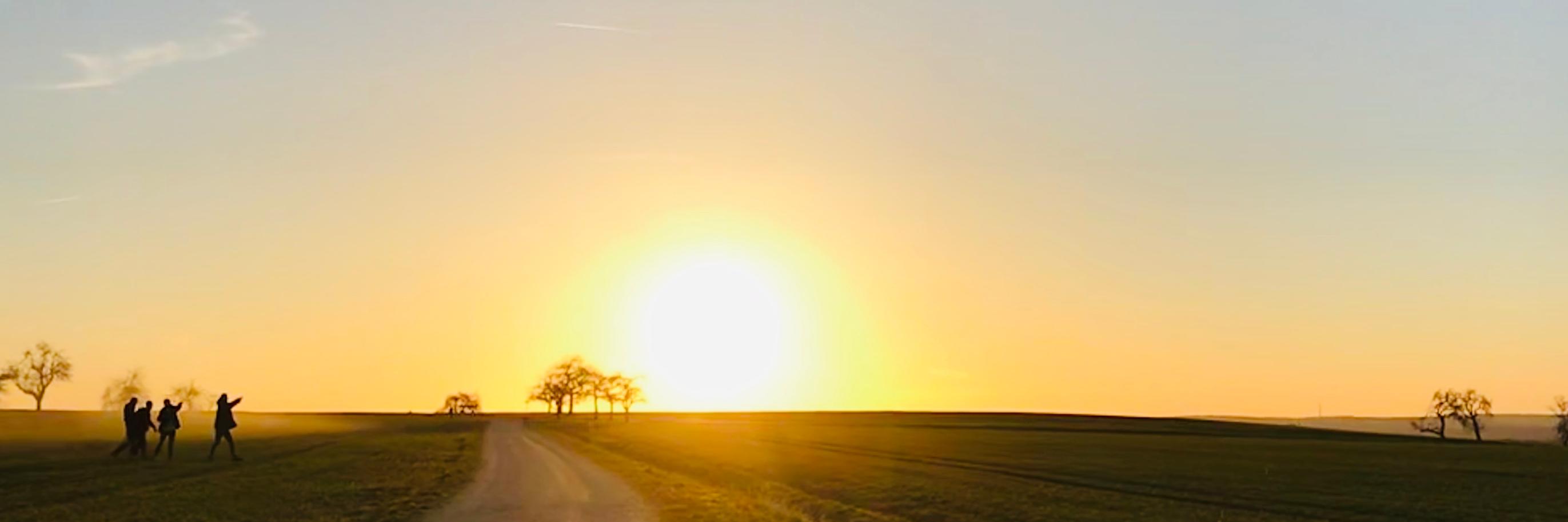 Madeline Ebert banner