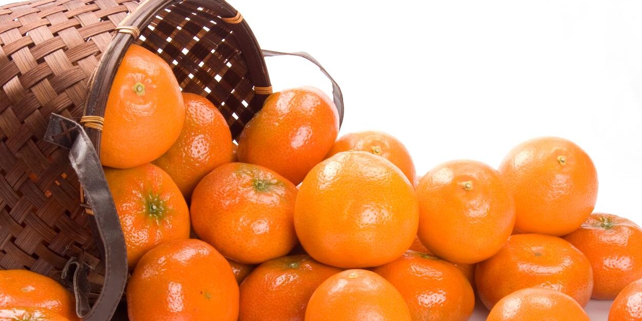 ProCitrus banner